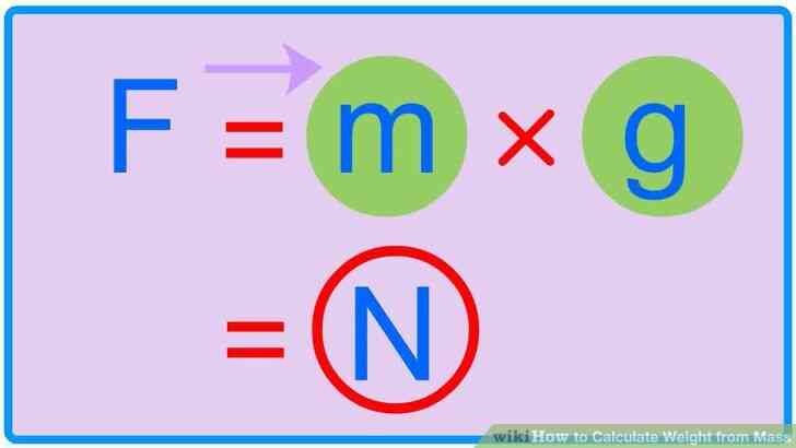 Image intitulée Calculer le Poids de la Masse de l